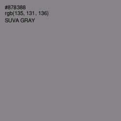 #878388 - Suva Gray Color Image